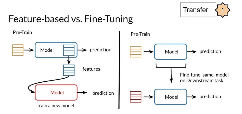 Fine tuning pretrained model – Artofit