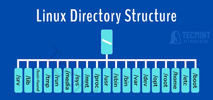 tutorial membuat tema WordPress dari nol - Struktur direktori Linux dan jalur file penting dijelaskan | Ilinuxgeek