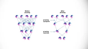 What are the Techniques to Optimize AI Model Size and Performance?